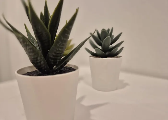 Annita's بيت ضيافة 3*